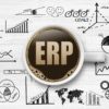 An image of all the core concepts ERP consultants help businesses understand about ERP implementation