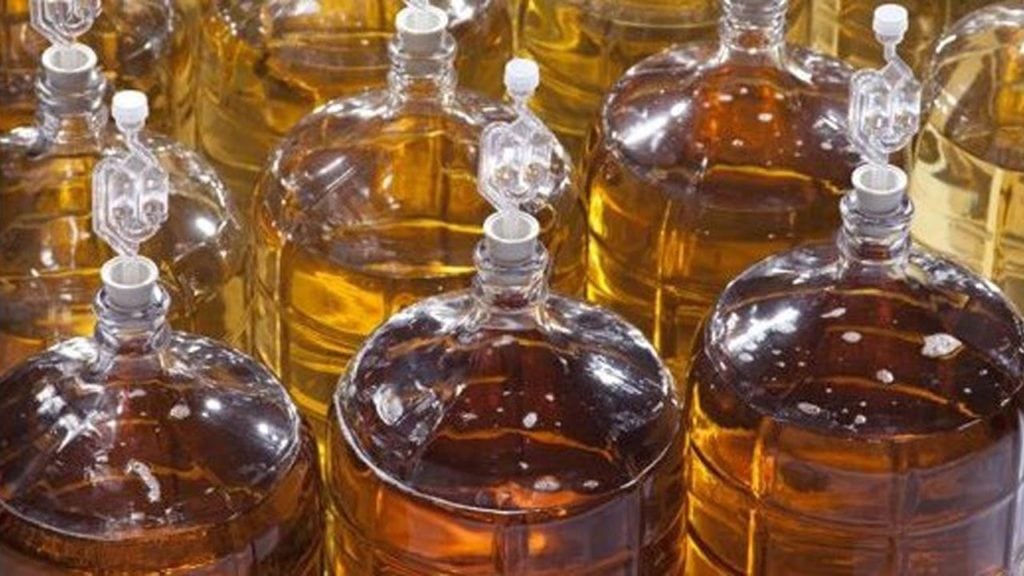 A picture of several carboys filled with mead.