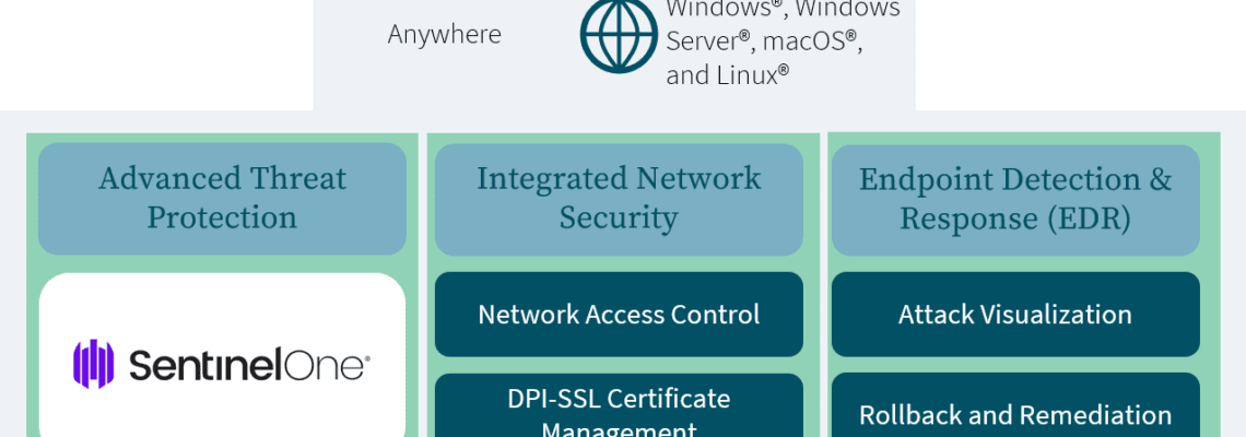 An image of the Epicor Security Suite Capture Client Diagram